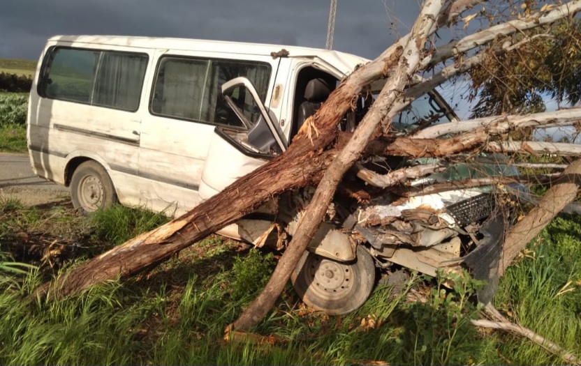  بنزرت : اضرار مادية اثر اصطدام عربة بشجرة  